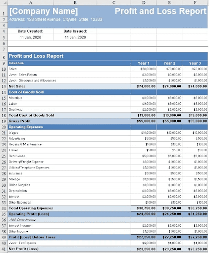 Profit and Loss Statement