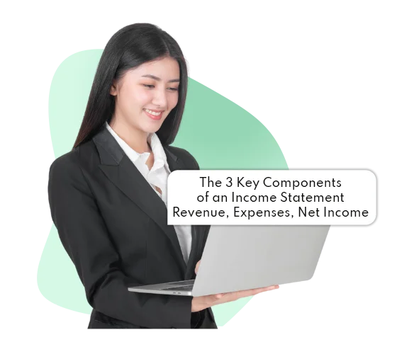 Income statement - IBN Tech